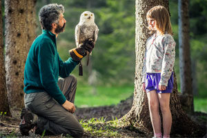 falconeria-dolomiti-cortina